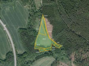 Prodej louky, Vilémovice, 37257 m2