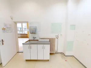 Pronájem obchodního prostoru, Ostrava, Jugoslávská, 99 m2