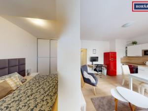 Pronájem bytu 1+kk, Brno - Královo Pole, Košinova, 35 m2