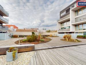 Pronájem bytu 1+kk, Brno - Královo Pole, Košinova, 35 m2