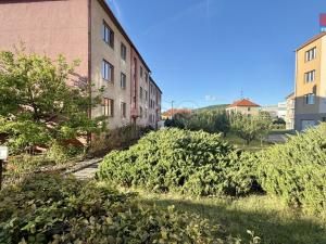 Prodej bytu 3+1, Písek - Budějovické Předměstí, Za Pazdernou, 72 m2
