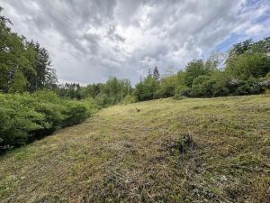 Prodej rodinného domu, Úžice - Radvanice, 200 m2