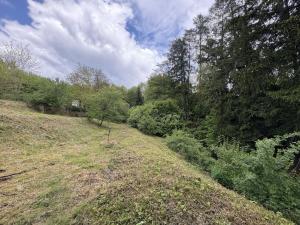 Prodej rodinného domu, Úžice - Radvanice, 200 m2