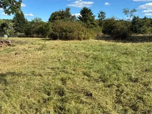 Prodej zahrady, Nová Ves, 1993 m2