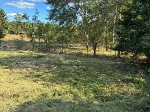 Prodej zahrady, Nová Ves, 1993 m2