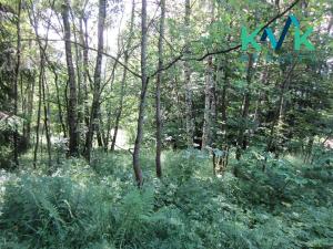 Prodej louky, Nejdek, 3354 m2