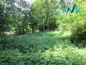 Prodej louky, Nejdek, 3354 m2