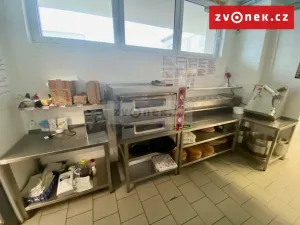 Prodej obchodního prostoru, Holešov, Novosady, 500 m2