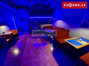 Prodej obchodního prostoru, Holešov, Novosady, 500 m2