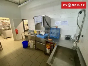 Prodej obchodního prostoru, Holešov, Novosady, 500 m2