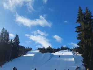 Prodej rodinného domu, Potůčky, 165 m2