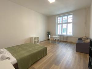 Pronájem bytu 1+1, Karlovy Vary, Koptova, 47 m2