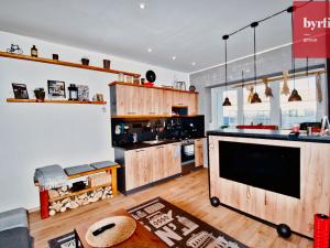 Pronájem bytu 2+kk, Opava, Přemyslovců, 40 m2