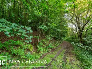 Prodej lesa, Jablonec nad Nisou - Jablonecké Paseky, 5031 m2