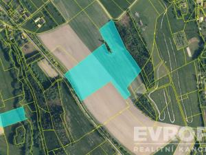 Prodej pole, Jílové u Držkova, 107792 m2