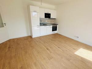 Prodej bytu 1+kk, Praha - Nové Město, Petrská, 56 m2