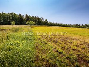 Prodej pozemku pro bydlení, Dubičné, 1000 m2