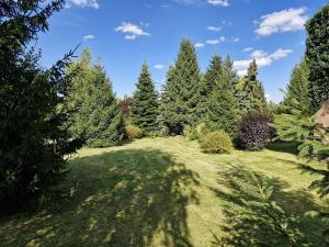 Prodej chalupy, Krásná Lípa, Lesní, 173 m2