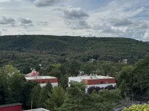 Prodej bytu 3+1, Brno, Neumannova, 67 m2