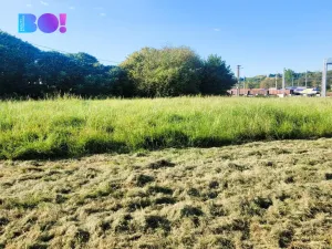 Prodej pozemku pro bydlení, Petrovice u Karviné - Dolní Marklovice, 1500 m2