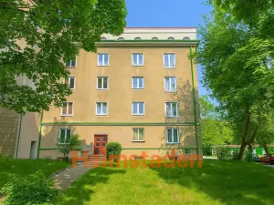 Pronájem bytu 2+1, Havířov - Město, U Lesa, 55 m2