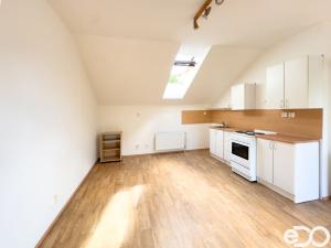 Pronájem bytu 1+kk, Liberec, Michelský vrch, 33 m2