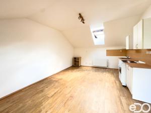 Pronájem bytu 1+kk, Liberec, Michelský vrch, 33 m2