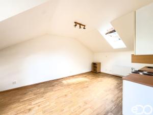 Pronájem bytu 1+kk, Liberec, Michelský vrch, 33 m2