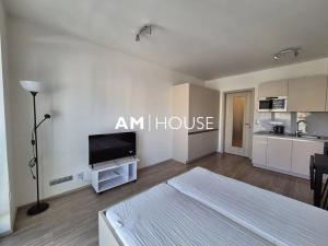 Pronájem bytu 1+kk, Praha - Vysočany, Bassova, 30 m2