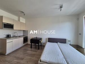 Pronájem bytu 1+kk, Praha - Vysočany, Bassova, 30 m2