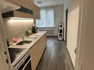 Pronájem bytu 2+1, Děčín - Děčín VI-Letná, 70 m2