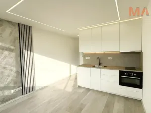 Pronájem bytu 1+kk, Chomutov, Havlíčkova, 21 m2