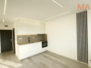 Pronájem bytu 1+kk, Chomutov, Havlíčkova, 21 m2