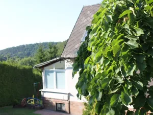 Prodej rodinného domu, Kamenec, 250 m2