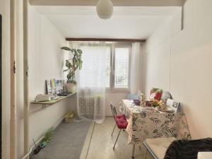 Prodej bytu 1+1, Praha - Krč, Hurbanova, 39 m2