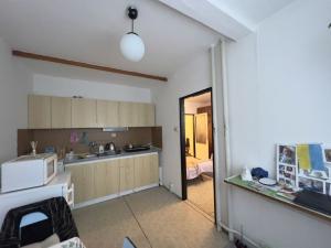 Prodej bytu 1+1, Praha - Krč, Hurbanova, 39 m2