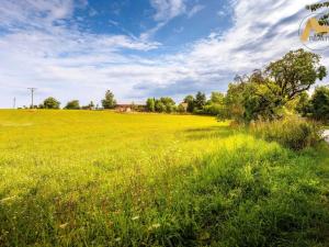 Prodej pozemku pro bydlení, Předotice - Třebkov, 1225 m2