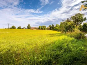 Prodej pozemku pro bydlení, Předotice - Třebkov, 1225 m2