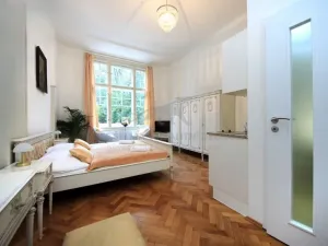 Pronájem bytu 1+kk, Praha - Josefov, Široká, 24 m2