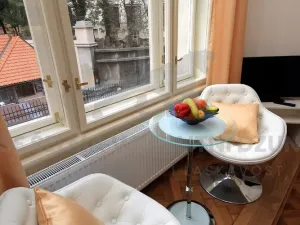 Pronájem bytu 1+kk, Praha - Josefov, Široká, 24 m2