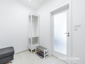 Pronájem bytu 1+kk, Brandýs nad Labem-Stará Boleslav - Stará Boleslav, Hlavenecká, 38 m2