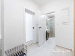 Pronájem bytu 1+kk, Brandýs nad Labem-Stará Boleslav - Stará Boleslav, Hlavenecká, 38 m2