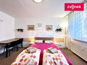 Pronájem bytu 1+kk, Zlín - Prštné, Svat. Čecha, 29 m2