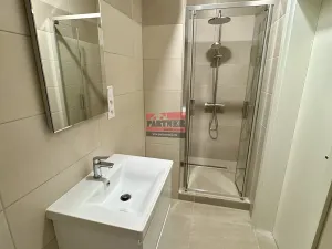 Pronájem bytu 2+kk, Bechyně, U Nádraží, 43 m2