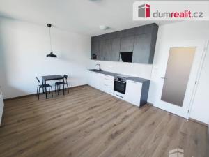 Pronájem bytu 1+kk, Praha - Žižkov, Olgy Havlové, 39 m2
