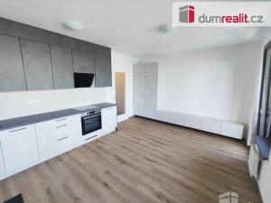 Pronájem bytu 1+kk, Praha - Žižkov, Olgy Havlové, 39 m2