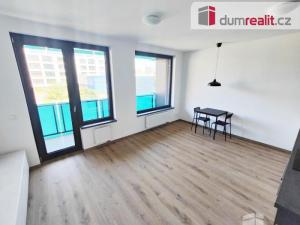 Pronájem bytu 1+kk, Praha - Žižkov, Olgy Havlové, 39 m2