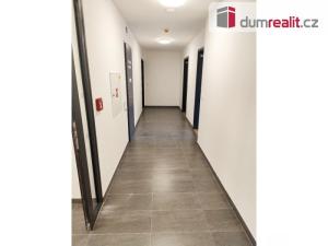 Pronájem bytu 1+kk, Praha - Žižkov, Olgy Havlové, 39 m2