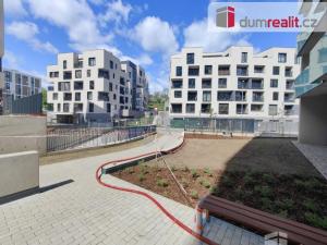 Pronájem bytu 1+kk, Praha - Žižkov, Olgy Havlové, 39 m2