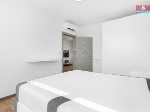 Pronájem bytu 3+kk, Mladá Boleslav, Palackého, 80 m2